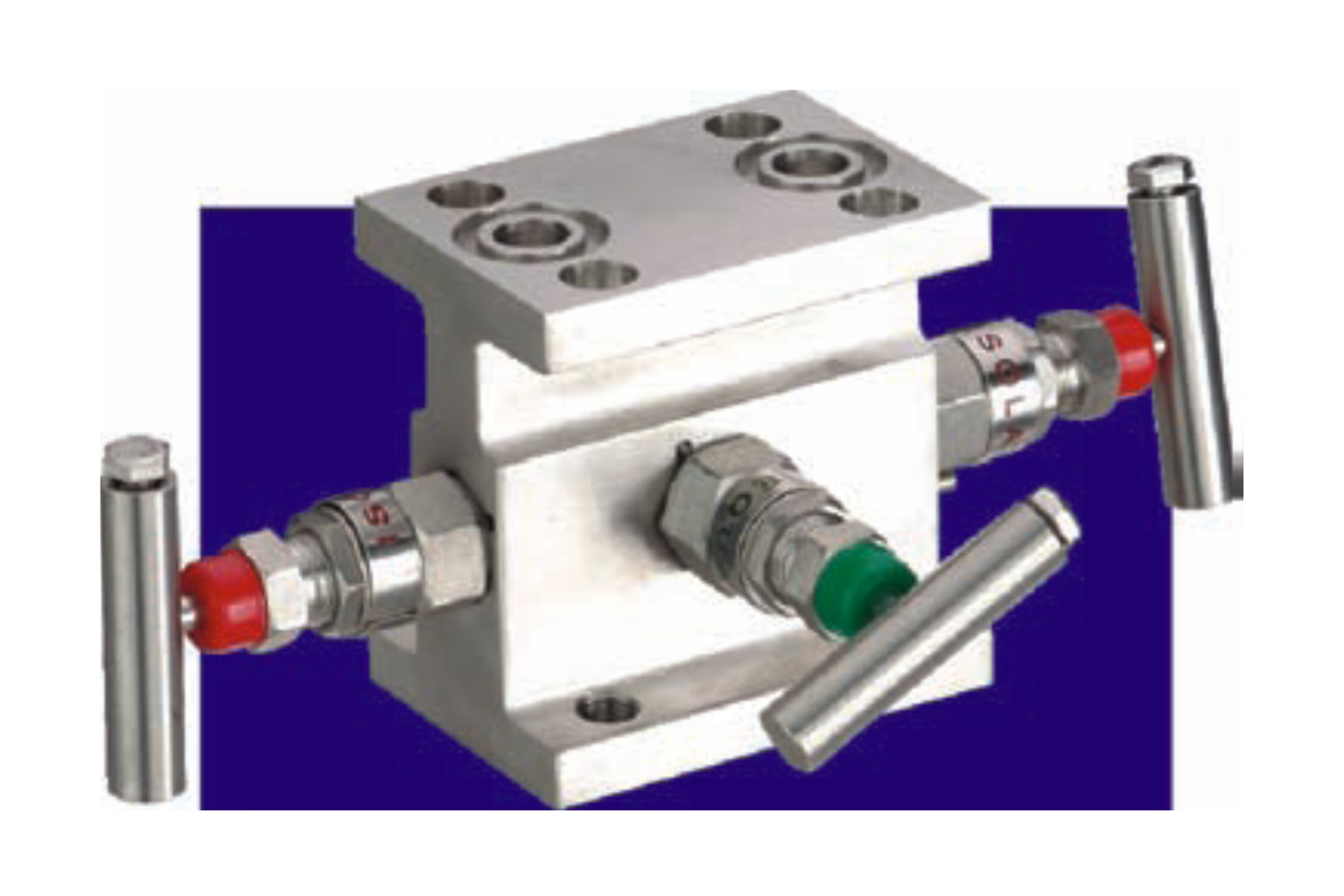 3 Valve Manifold H-Type _ E301 FF (4)