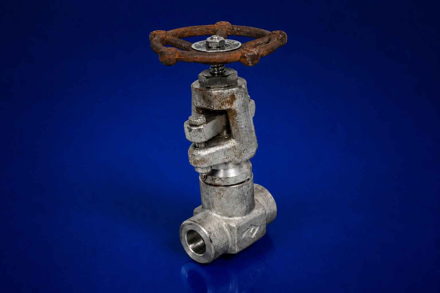Globe Valve Swing Bolted Type : E210SW-GB